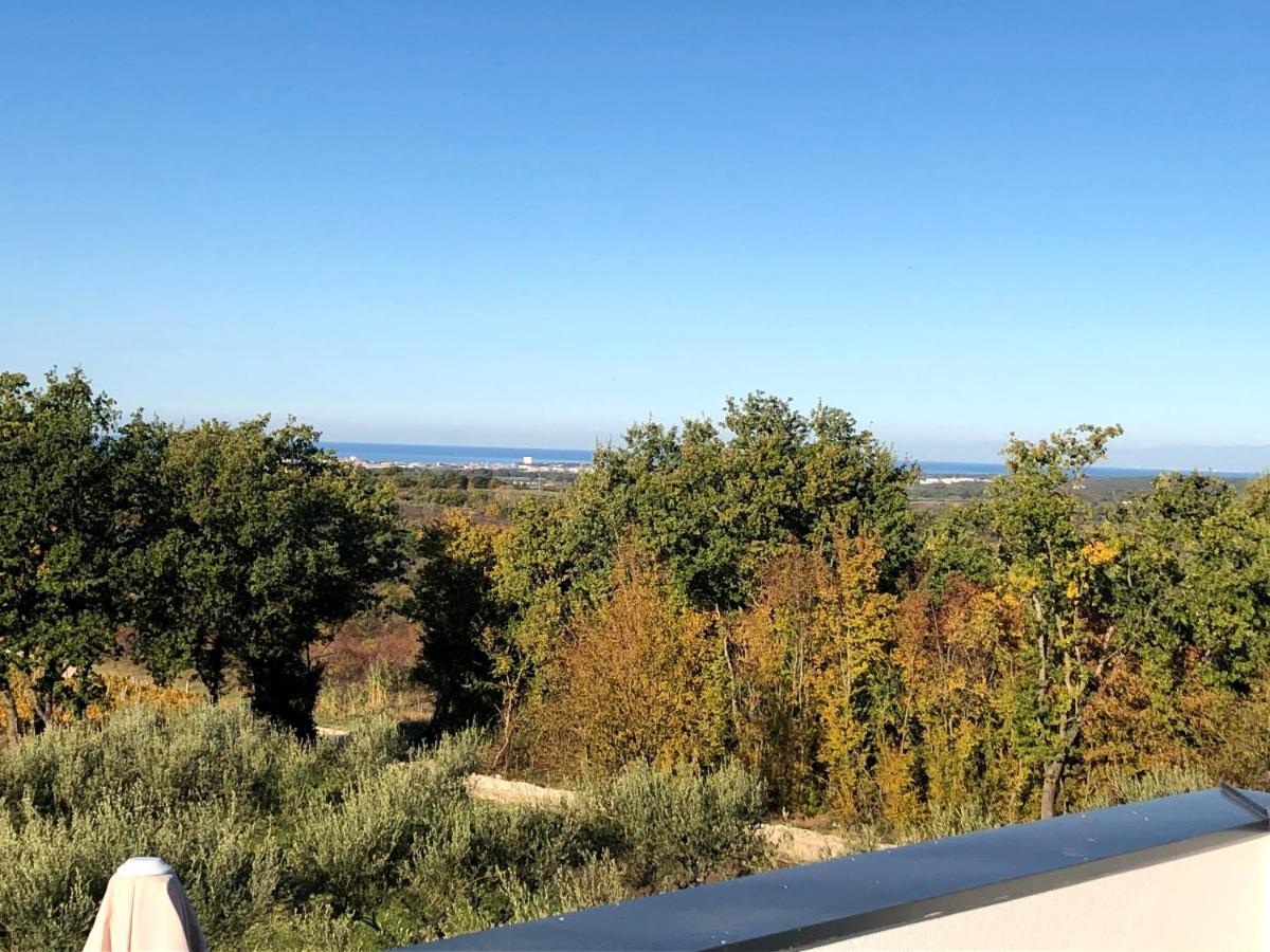 Materada Villa Boiky - Private Pool And Amazing Sea View, Istria מראה חיצוני תמונה