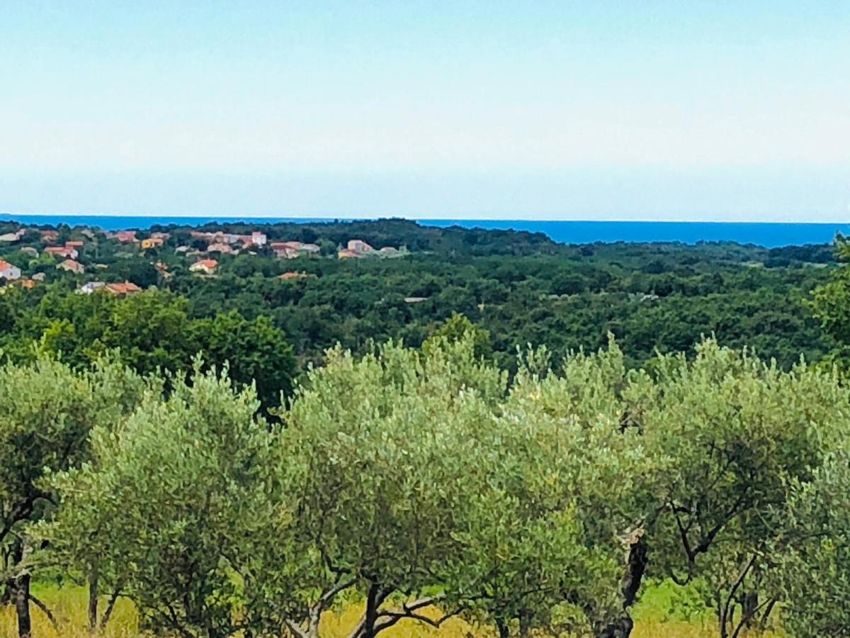 Materada Villa Boiky - Private Pool And Amazing Sea View, Istria מראה חיצוני תמונה