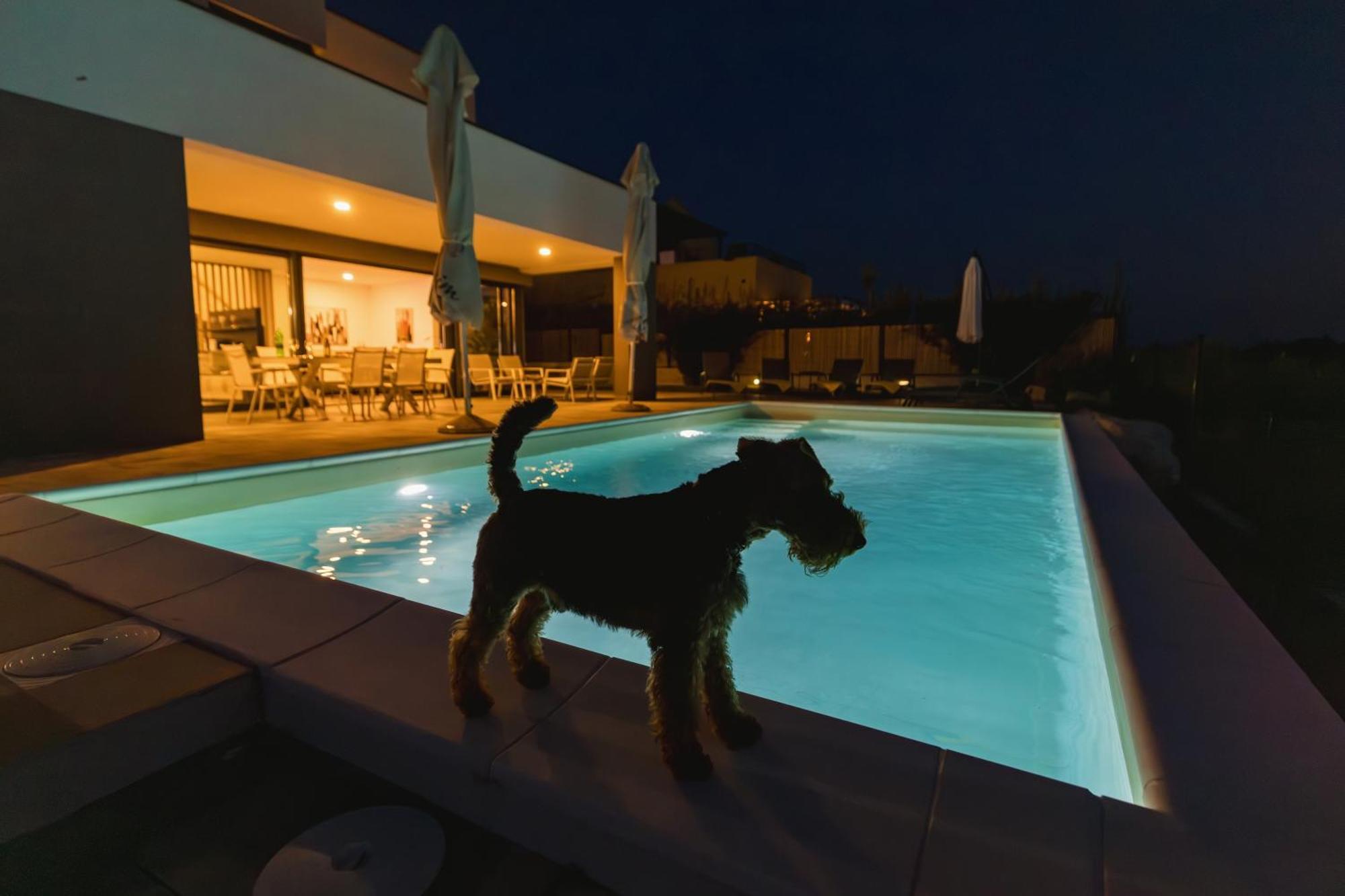 Materada Villa Boiky - Private Pool And Amazing Sea View, Istria מראה חיצוני תמונה